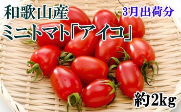 【3月出荷分】和歌山産ミニトマト「アイコトマト」約2kg（S・Mサイズおまかせ）【TM123】   XH024