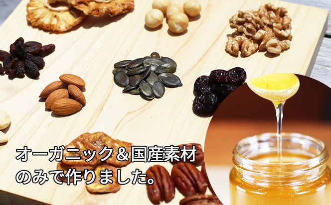 【3回定期便】グラノーラ 無添加 国産はちみつ使用【ノラノーラ ミケ&クロ】ココナッツ・ショコラ（小）2袋セット（100g×2） A-MT-B01A