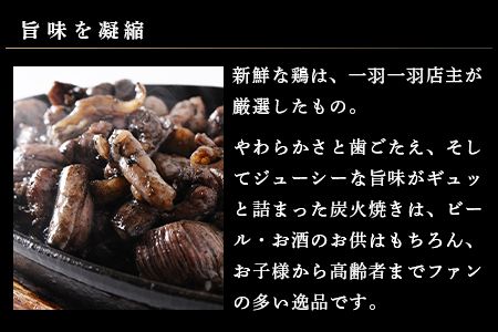 【事業者応援!】＜こだわり鶏炭焼セット15袋＋自家製ドレッシング220g×2本＞2026年1月末迄に順次出荷【c070_ip_x5】