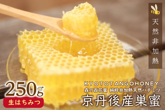 京丹後産巣蜜（250ｇ）KYOTOTANGOHONEY森の百花蜜 純粋非加熱天然