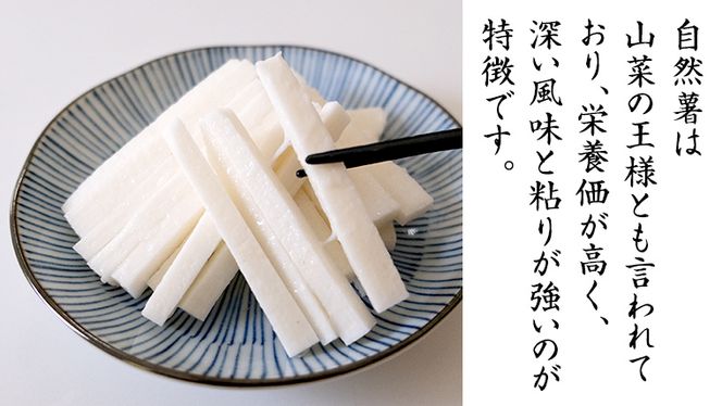 ASIAGAP認証農場 の 自然薯 1kg 茨城県 筑西市産 じねんじょ ASIAGAP認証農場 の 自然薯 1kg 茨城県 筑西市産 じねんじょ