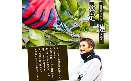 ぎょくだん『ミチヒロ』のみかん★約5kg(サイズおまかせ) 予約受付中 フルーツ 秋 旬★熊本県玉名郡玉東町『熊本・玉東、玉東町段々畑男子団。』みかん ぷらっとぎょくとう《10月下旬-1月下旬出荷》---sg_michimikan_p101_r7_11000_5kg---