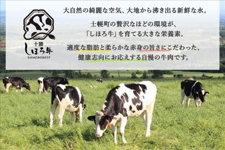 北海道 しほろ牛 ゴロッケ 5個×2袋 10個入 コロッケ GOROKKE 挽き肉 ひき肉 じゃがいも 牛 赤身肉 国産牛 肉 ジャガイモ ビーフ セット 国産 おかず お弁当 冷凍 詰合せ お取り寄せ 十勝 士幌町【N38】