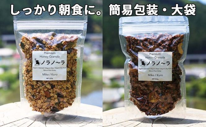 【6回定期便】グラノーラ 無添加 国産はちみつ使用【ノラノーラ ミケ&クロ】ココナッツ・ショコラ（大）2袋セット（250g×2） A-MT-C02A