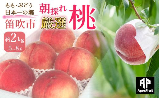 【2026年発送★先行予約】笛吹市産　厳選! 旬の桃 約2kg (5~8玉) 205-001-26y