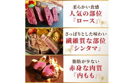 北見エゾシカ 熟成肉山の恵みセット ( 肉類 肉 国産 鹿肉 熟成 セット 詰め合わせ 骨付き ロース しんたま 内もも ステーキカット肉 ハバキカット ハツ ヒレ ステーキ用スライス )【025-0030】