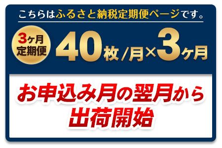 【3ヶ月定期便】 訳あり 一番摘み 有明海産 海苔 40枚 《お申込み月の翌月から出荷開始》熊本県産（有明海産）全形40枚入り 長洲町 海苔 定期便  ---fn_noritei_r7_20500_40m_mo3---