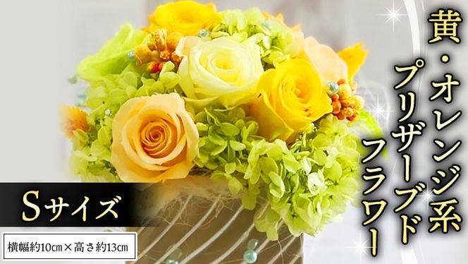 y錧}szF E IW n vU[uh t[ S Mtg v[g  j  LO [CT071ci]