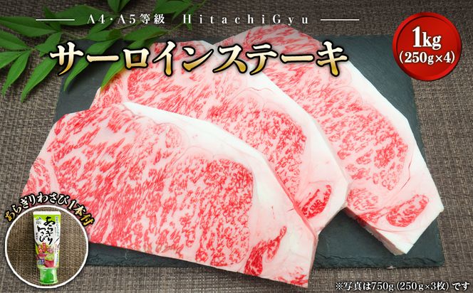 y錧SzK2422 헤A5 T[CXe[L1kg (250g×4) 炬킳1{t