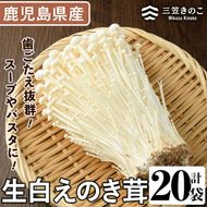 生白えのき茸(20袋・計5kg)国産 エノキ きのこ キノコ 個包装【三笠えのき茸生産組合】a-12-221-z