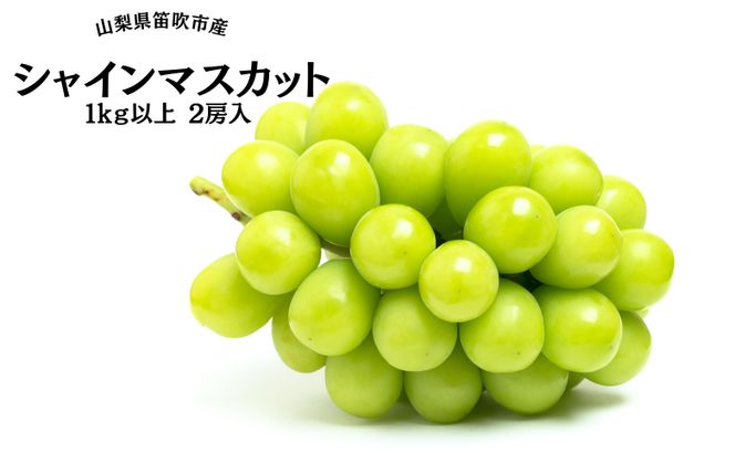 ＜2024年先行予約＞葡萄の一大産地！笛吹市産シャインマスカット1kg以上 167-002