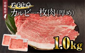 宮崎県産黒毛和牛 カルビ一枚肉【厚め】1.0kg_M243-024