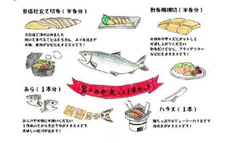 「富士の介」丸ごと一本セット SWBM001