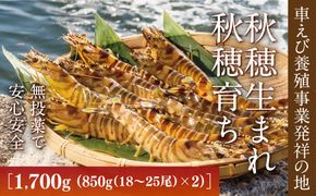 B056 旭水産活き車海老（あいおえび）1700g（850g（18～25尾）×2）【養殖】