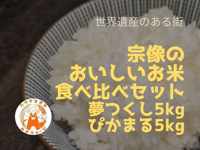 むなかた産 米 夢つくし ぴかまる 食べ比べ 各5kg 計10kg 【みきふぁーむ】_HA1545