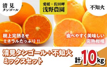 田縁農園の河内晩柑約7kg ※着日指定不可 ※離島への配送不可 ※2024年7月