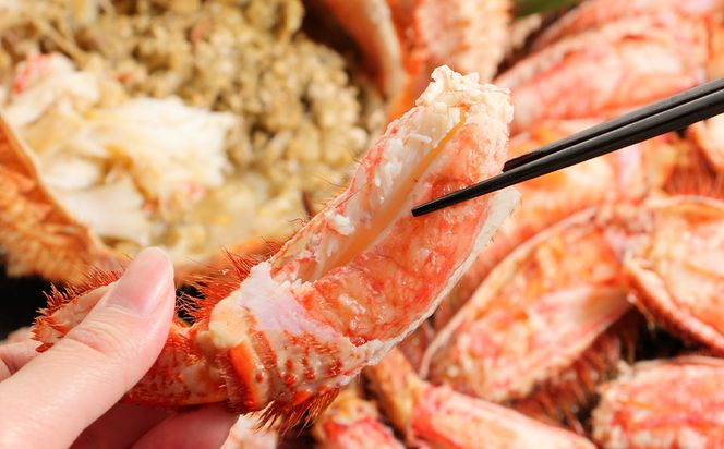 特大サイズ！冷凍毛がに約800g×2尾【斉藤水産】 AM148