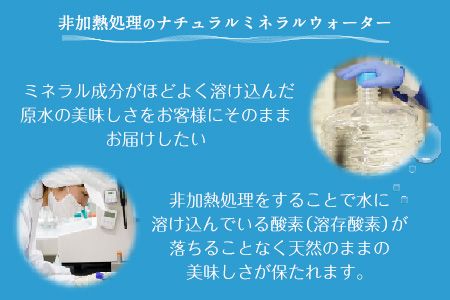 【6か月定期便】南阿蘇村 天然水 300mlボトル×30本（スタイリッシュラベル） 6回お届けで計180本！ハイコムウォーター 《お申込み月の翌月から出荷開始》 熊本県南阿蘇村 天然水---kari019sms_hcmstltei_r7_68000_mo6num1---