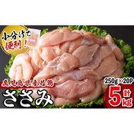 【2024年12月発送予定】小分けで便利！鹿児島県産若鶏ささみ 計5kg(250g×20P) a5-258-12