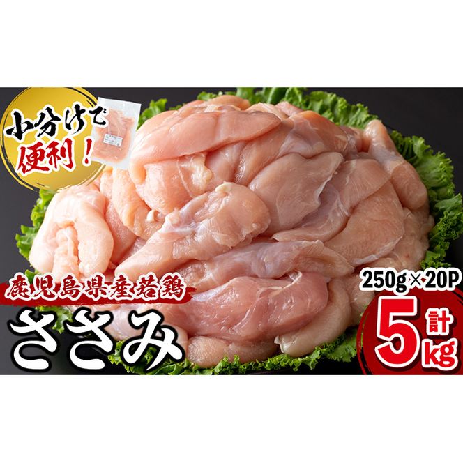 小分けで便利！鹿児島県産若鶏ささみ 計5kg(250g×20P) a5-258