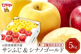 【令和6年産 先行予約】りんご サンふじ&シナノゴールド 詰め合わせ 5kg(秀品) 東根市 山形県 東根農産センター提供 hi027-126