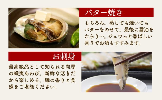 岩手県産 天然活あわび10個（約1.1kg）鮑 アワビ 三陸産・蝦夷あわび [56500449_3]