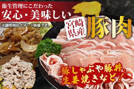 ＜宮崎県産豚ローススライス 合計1.8kg（300g×6）＞翌月末迄に順次出荷【b0404_ty】
