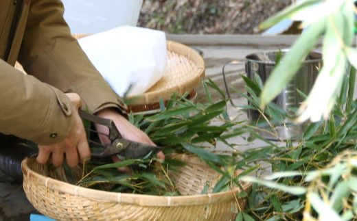 金明竹 （キンメイチク）・ レモングラス染 手ぬぐい 黄色・カーキ 2個セット 綿 100％