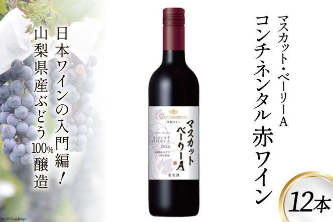 yRBszC  R`l^ }XJbgEx[[A 750ml×12{ [T.t[Y R Bs 20743137] ԃC {C  AR[