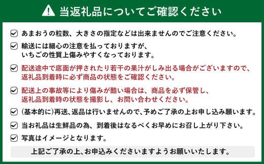 【予約受付・4回定期便】あまおう大好き定期便【2025年2月上旬～7月下旬発送予定】