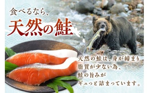 オホーツク産新巻鮭 オス 切身 約3.6～4kg ( さけ サケ 切り身 パック 小分け 真空パック 塩漬け 鮭 ムニエル 甘塩 フライ ホイル焼き ふるさと納税 魚介類 魚 海鮮 )【017-0015】