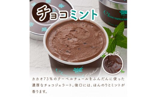 ミントジェラート カップ 3種×4個 ( ジェラート アイス アイスクリーム ハッカ チョコ ミント ミントアイス スイーツ チョコチップミント カカオ カップアイス ふるさと納税 )【007-0018】