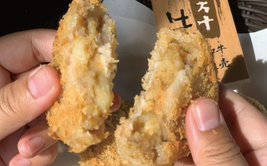 R5-015．四万十牛100％！コロッケ 10個入り（5個×2パック）