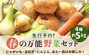 【2025年5月下旬〜発送】【先行予約！】春の万能野菜セット 約5kg / じゃがいも 玉ねぎ 人参  旬野菜 詰め合わせ / 南島原市 / 長崎県農産品流通合同会社 [SCB064]