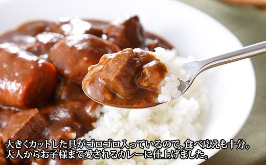 582. ビーフカレー チキンレッグ スープカレー 食べ比べ 10個 牛肉 レトルトカレー 備蓄 北海道 弟子屈町