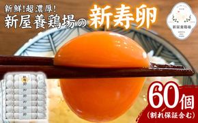 新鮮！超濃厚！新屋養鶏場の【新寿卵】- 卵 鶏卵 50個+10個 60個 割れ保障込 たまご タマゴ 玉子 玉子焼き 卵かけご飯 オムレツ 料理 人気 おすすめ 沖縄県 八重瀬町【価格改定】