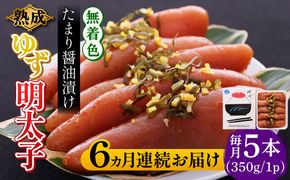 【全6回定期便】熟成 たまり醤油漬け 無着色 ゆず明太子 5本入り(350g)《築上町》【有限会社フィッシャーマンズクラブ】 明太子 めんたい[ABCU052]