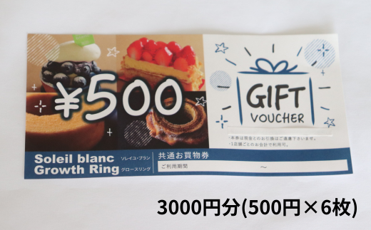 BV-1 店舗利用券3000円分