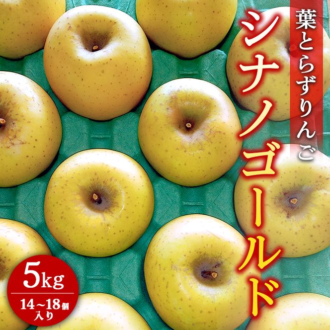葉とらずりんご【シナノゴールド】5kg　14個～18個入り【9月30日受付終了】※2026年10月～発送
