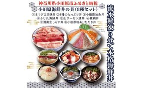 111-1623　【高級食材本マグロ、曽我の梅干し、小田原地あじ、小田原港直送地魚丼、大磯港直送、湘南生しらす】小田原海鮮丼の具（8種セット）