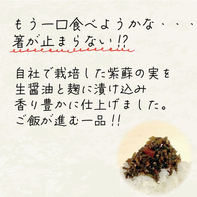 漬物 ごはんのへらし 400g (100g×4)  【予約受付 [発送予定11月～] 】小分け ご飯のお供 紫蘇の実 1万円 10000円 [kata002]