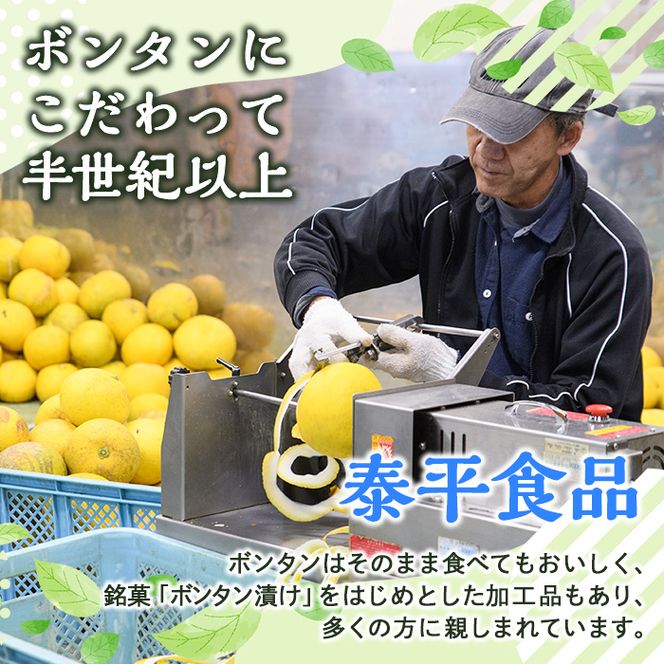 鹿児島伝統のフルーツ菓子！ぼんたん漬セット(合計7袋)  鹿児島県 阿久根市 特産品 ボンタン ぼんたん漬舟切 ぼんたん漬青切 甘夏みかん漬 さわーぽめろ漬 おやつごーや漬  お菓子 おやつ 果物 詰合せ 詰め合わせ ギフト 贈答【泰平食品】a-12-51