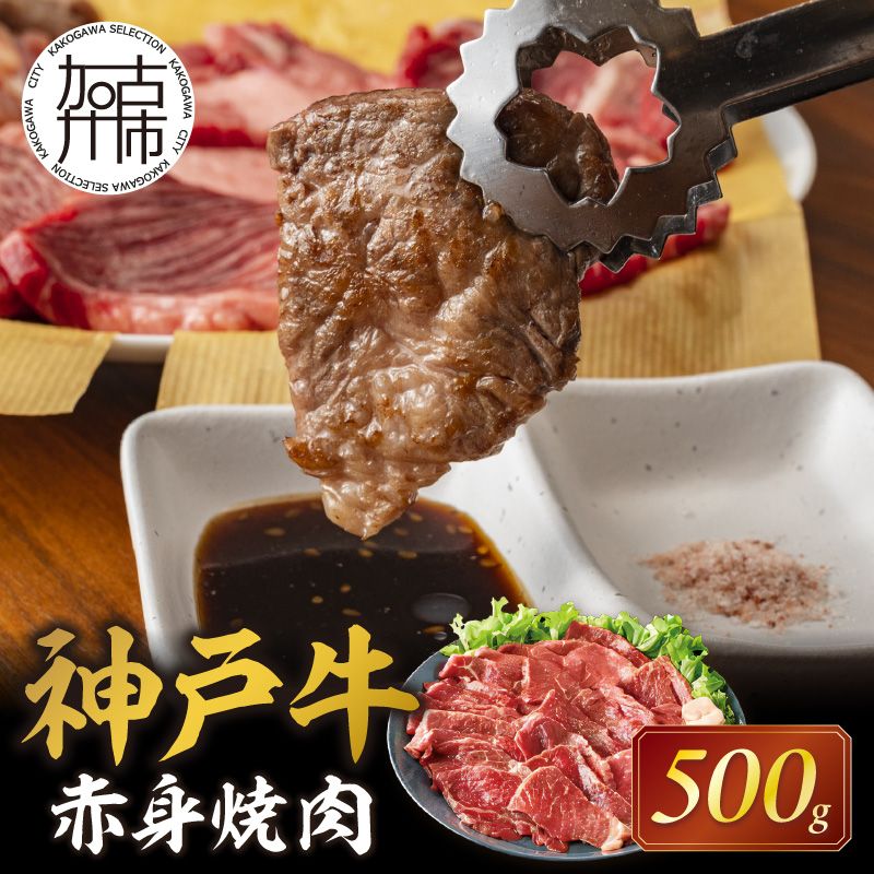 神戸牛赤身焼肉(500g)[ 肉 牛肉赤身 神戸牛 焼肉 国産 バーベキュー 和牛美味しい プレゼント ギフト 赤身肉 お取り寄せ 送料無料 おすすめ ][2402A00109]