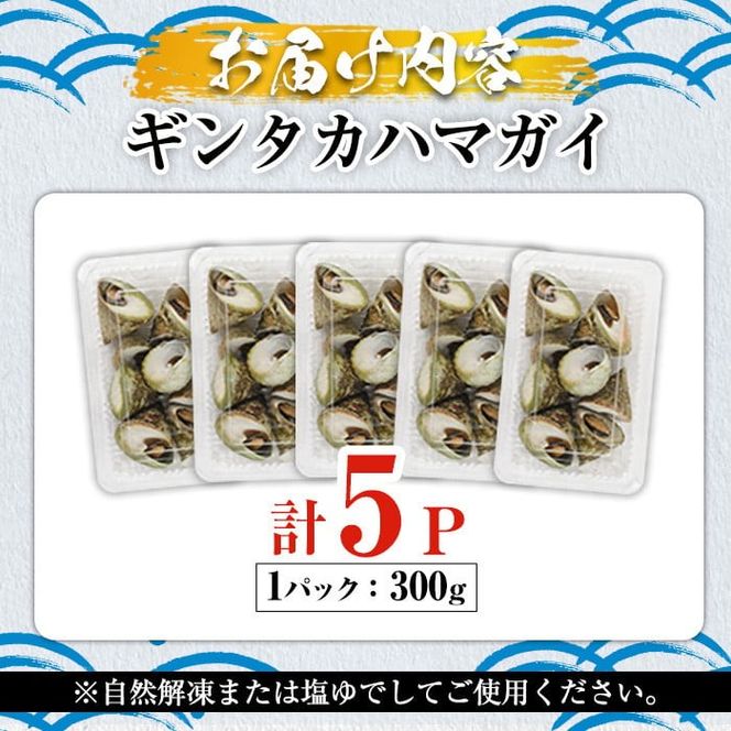 数量限定！ギンタカハマガイ(三角みな)ボイル(300g×5パック)国産 鹿児島県産 貝 魚介類 おかず 料理 おつまみ【福美丸水産】a-14-41-z