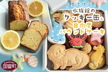 ＜夏季限定！水族館のクッキー缶と日向夏パウンドケーキ＞2024年9月末迄に順次出荷【b0443_mi_x1】