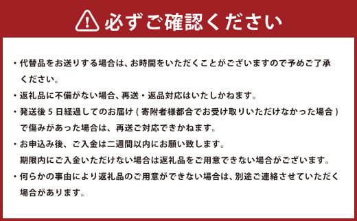 【2025年1月発送】【先行予約】福岡県産 羽衣農園の 完熟 あまおう 約1kg 約250g×4パック  選べる配送月 いちご 苺 イチゴ ベリー 果物 フルーツ お取り寄せ デザート おやつ