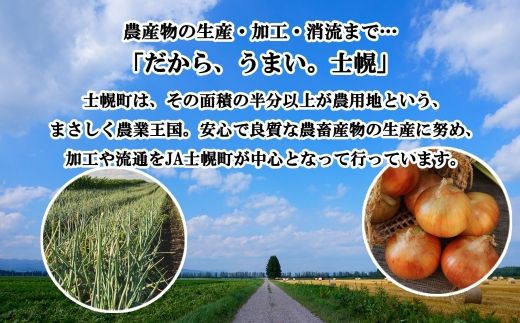 《期間限定》北海道 士幌産 たまねぎ 玉ねぎ タマネギ 玉ネギ 玉葱 10kg (2025年12月～発送開始予定)  採れたて オニオン 旬の野菜 期間限定 新鮮 野菜 産地直送 産直 お取り寄せ 送料無料 十勝 士幌町 9000円 【V07】