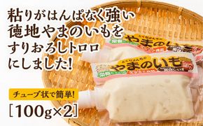 E060 徳地やまのいものすりおろしトロロ　100g×2個