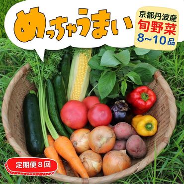 【8回定期便】＜３６９商店＞京都丹波産旬の野菜セット ※全て栽培期間中農薬・化学肥料不使用※