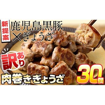 [訳あり・業務用]お肉屋さんの黒豚肉巻餃子 計30個(10個入×3袋)